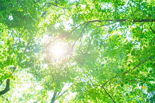 aaa